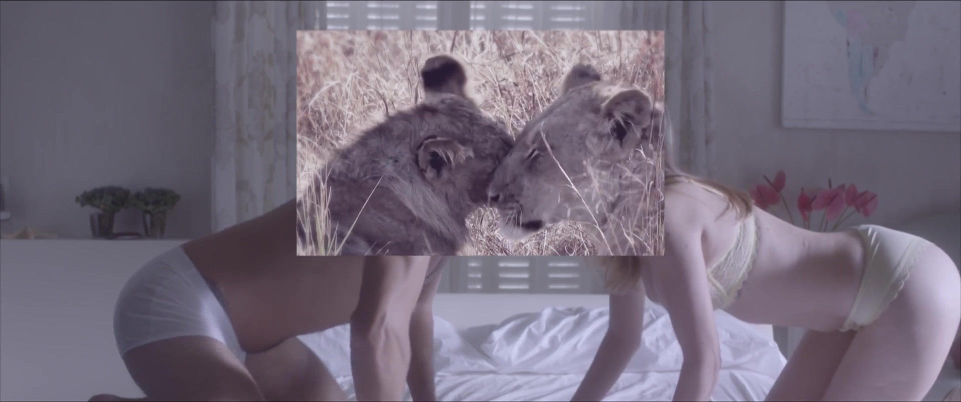 Story Adult Short Movie "Kiki, el amor se hace". Scene Сomparison Animal Sex Flogging