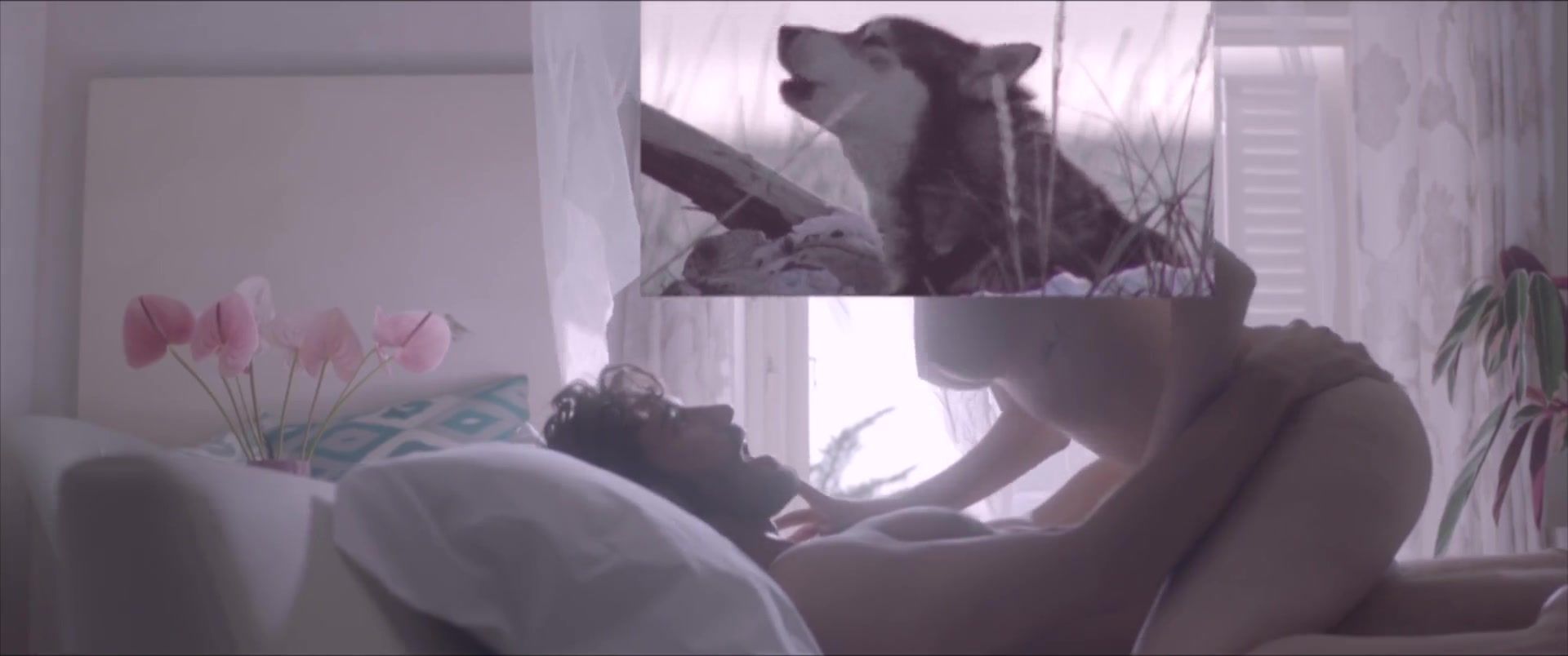 Brunette Adult Short Movie "Kiki, el amor se hace". Scene Сomparison Animal Sex Breeding - 2