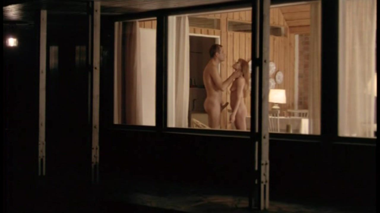 ThePorndude Explicit male nudity and Sex Scene from the movie Naisenkuvia Pictoa