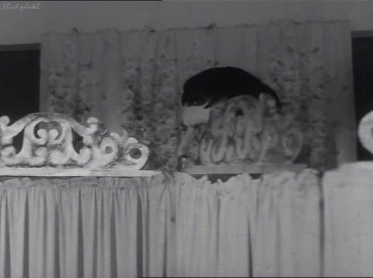 Swallow Sex video Geissel des Fleisches (Torment of the Flesh - 1965) DuckDuckGo