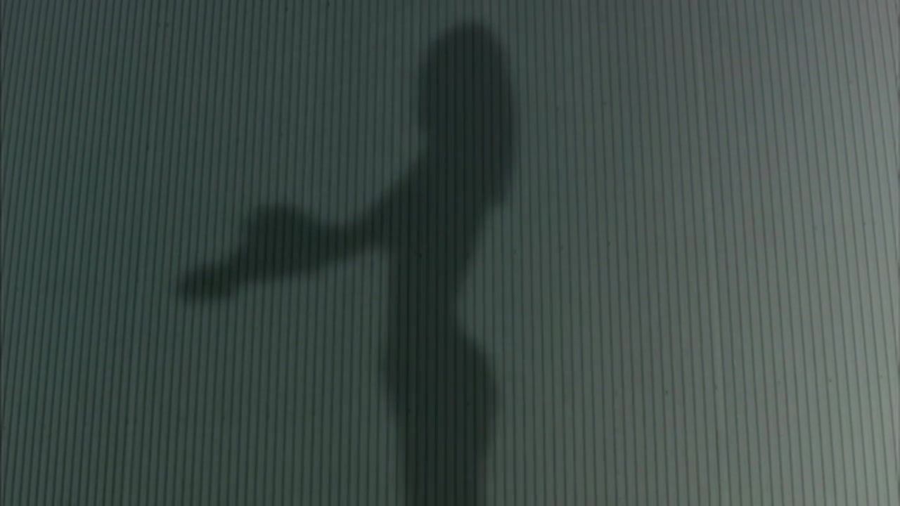 Sister Natasha Alam naked – Shadow Puppets (2007) Culos