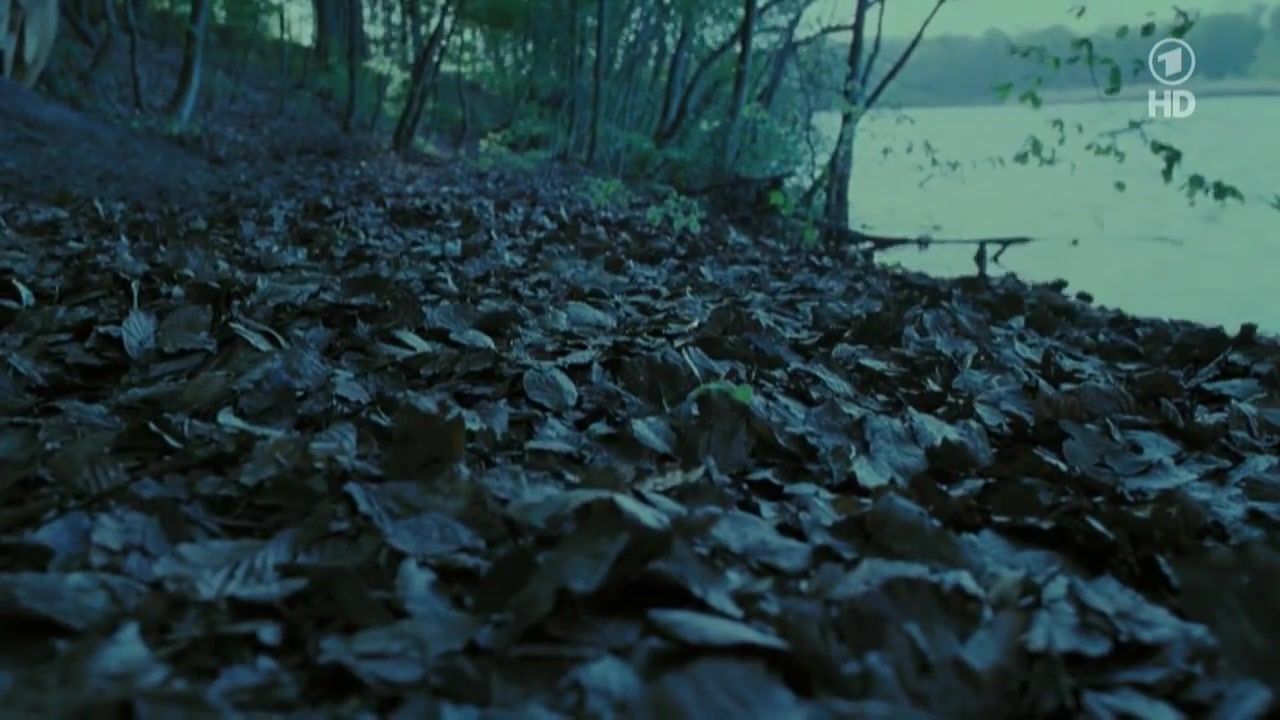Cum Swallowing Nina Hoss naked – Das Herz Ist Ein Dunkler Wald (2007) JoyReactor
