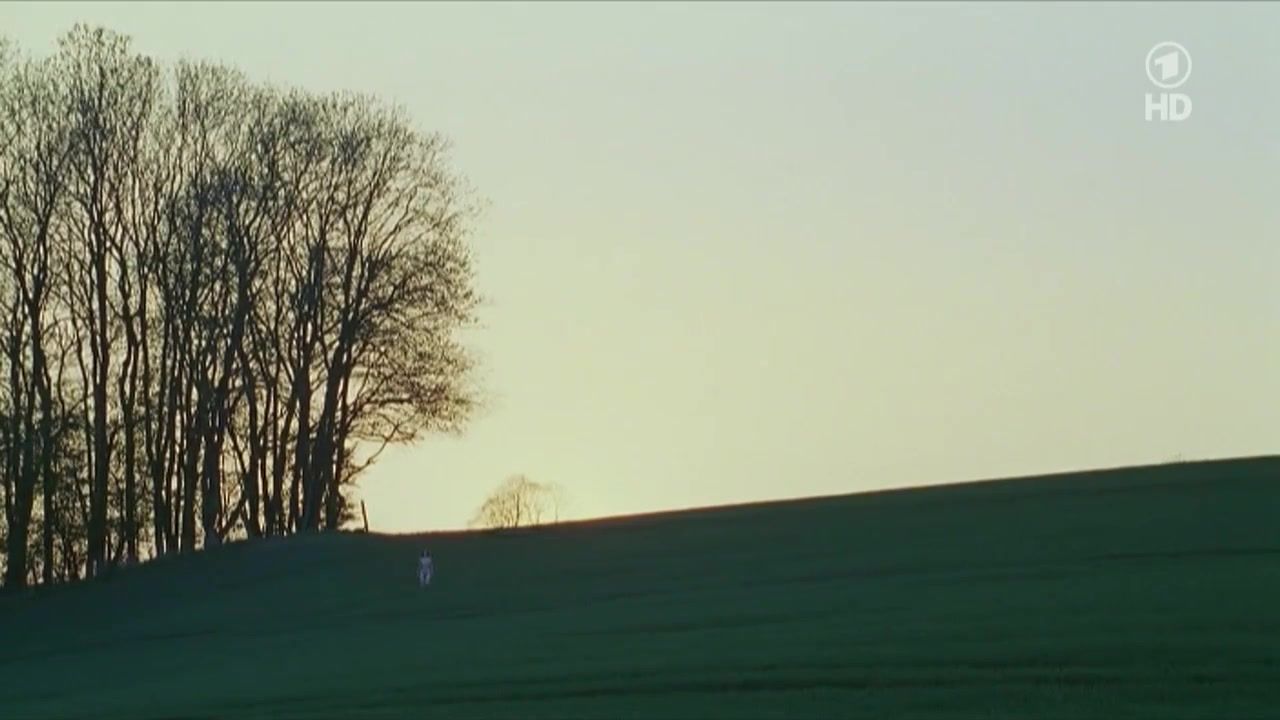 Cum Swallowing Nina Hoss naked – Das Herz Ist Ein Dunkler Wald (2007) JoyReactor - 1