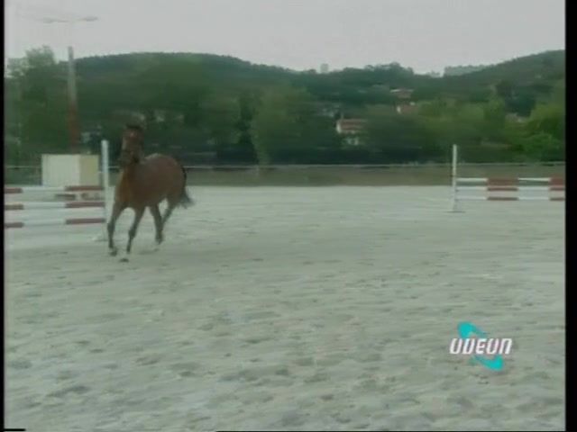 Italian Naked Sports with horses Bathroom