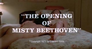 Sexy Girl Classic explicit erotic - The Opening of Misty Beethoven (1976) Shoplifter