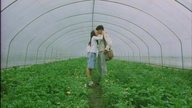 Juggs Doona Bae & Other - Plum Blossom (2000) SummerGF - 1